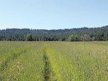 PRIVATE COUNTRY ESCAPE, 20 ACRES WITH PANORAMIC VIEWS