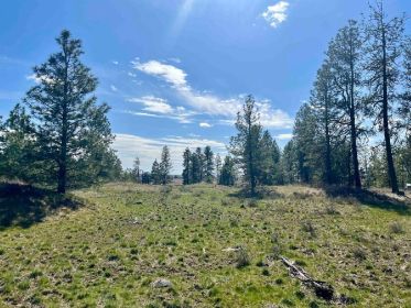 SECLUDED 10 ACRES WTH LAKE ACCESS