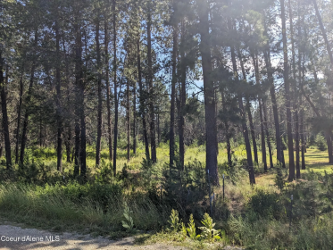 ATHOL: 5 ACRES, READY TO BUILD WITH NO CC&R's!    $315,000