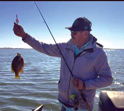 Dave Graybill holds up a triploid trout caught at the upper net pens on Rufus Woods Reservoir during a fast-paced shoreline fishing session.