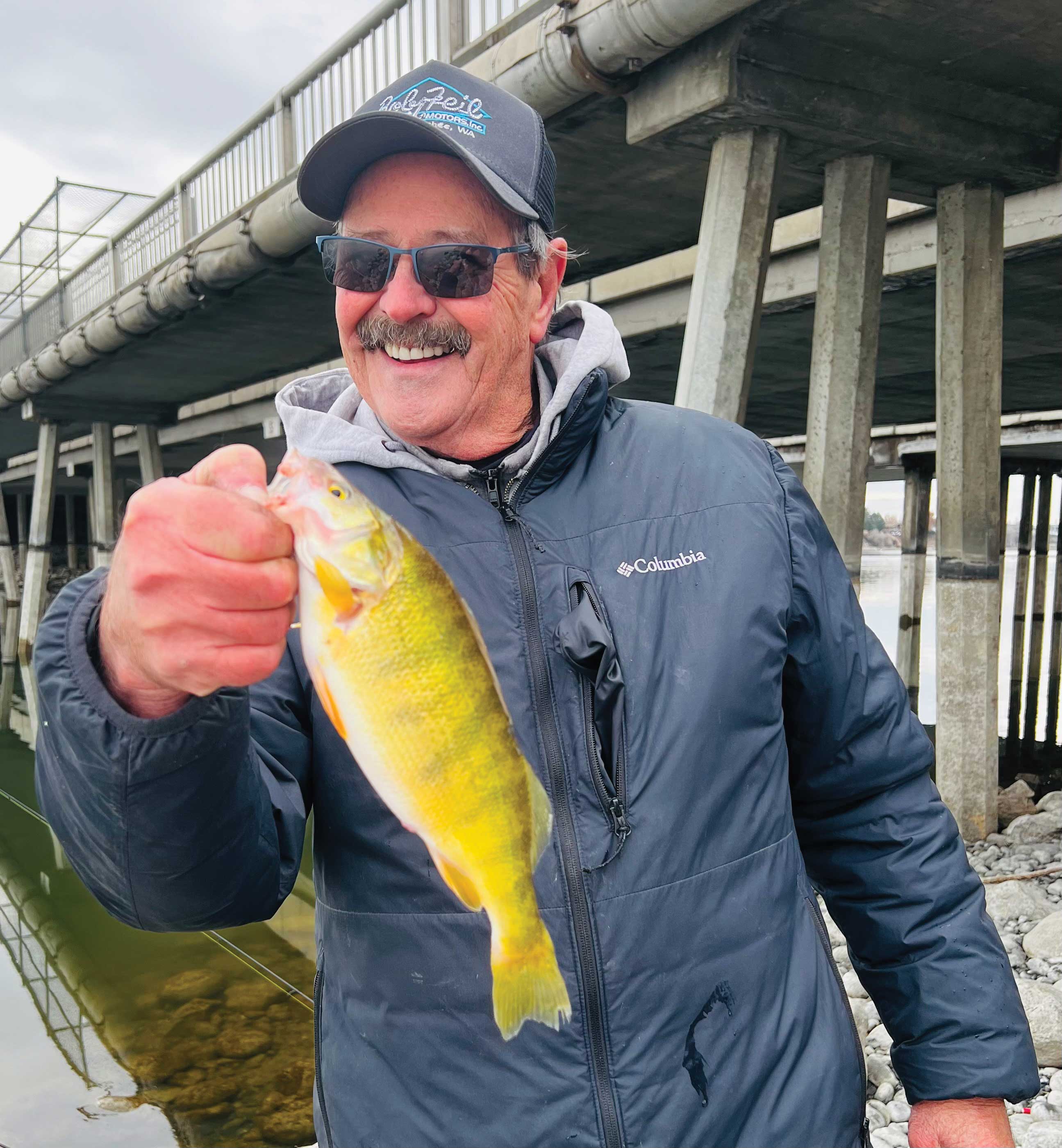 Dave Graybill holds a large perch caught from shore below the I-90 Bridge on Moses Lake during the peak fall bite.