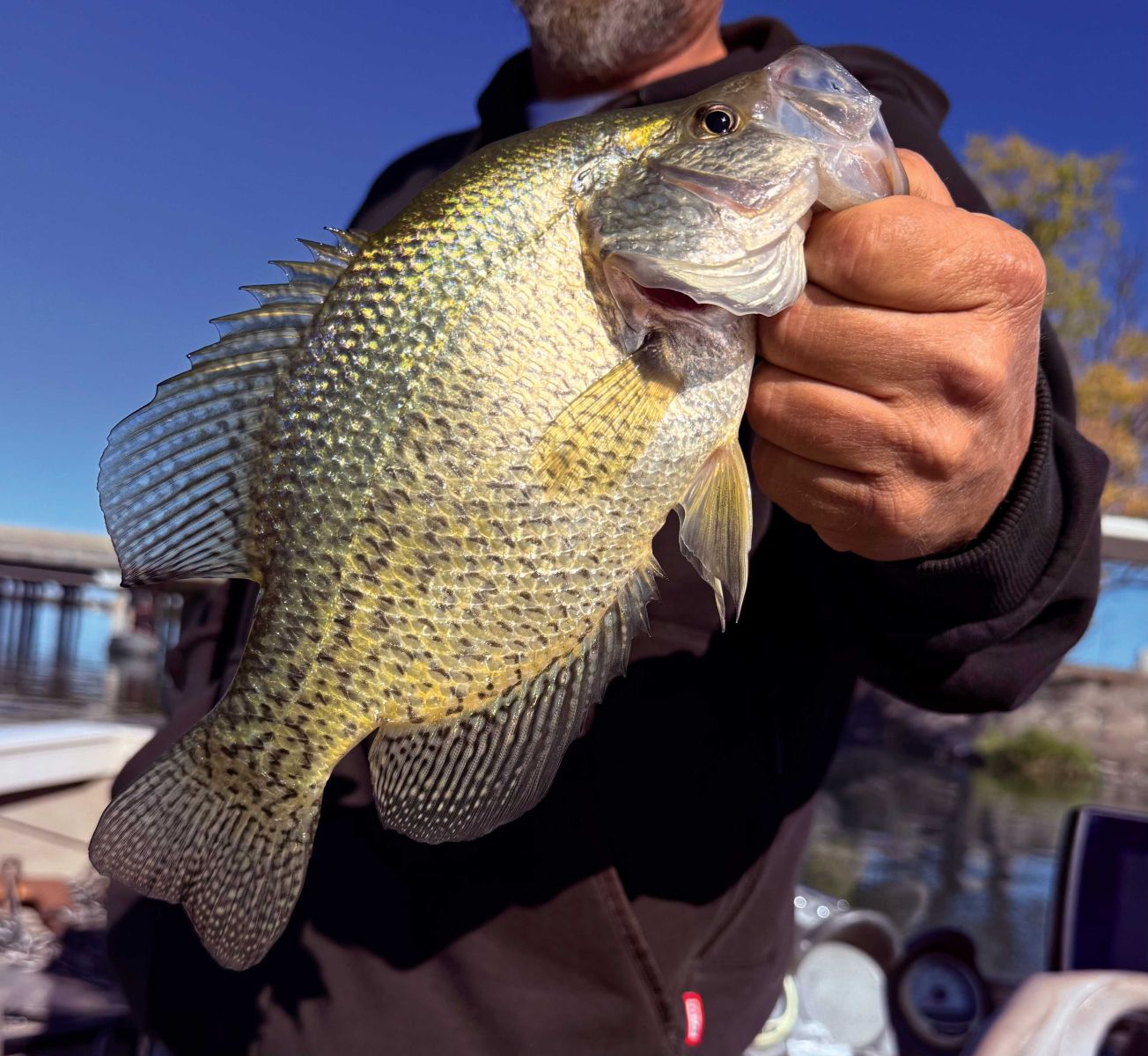 Crappie caught at Potholes Reservoir near the State Park launch.